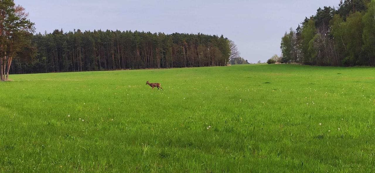 Villa Chata Marecek - V Lesni Osade U Reky Luznice Skalice Exterior foto